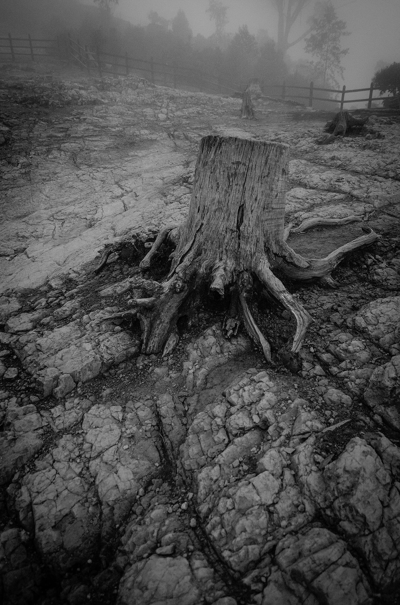 Un día en Bogotá, la gran capital de Colombia