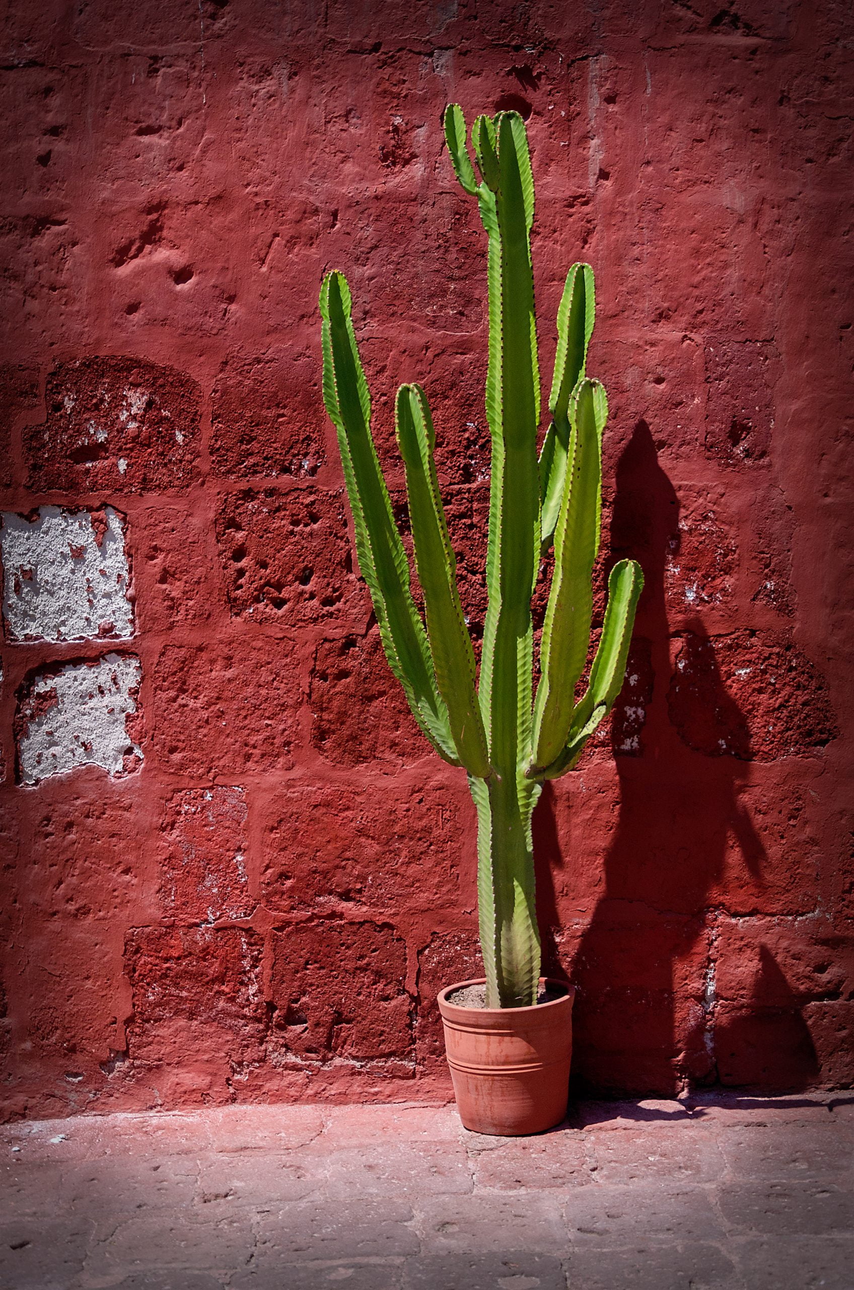 Monasterio de Santa Catalina en Arequipa, Perú