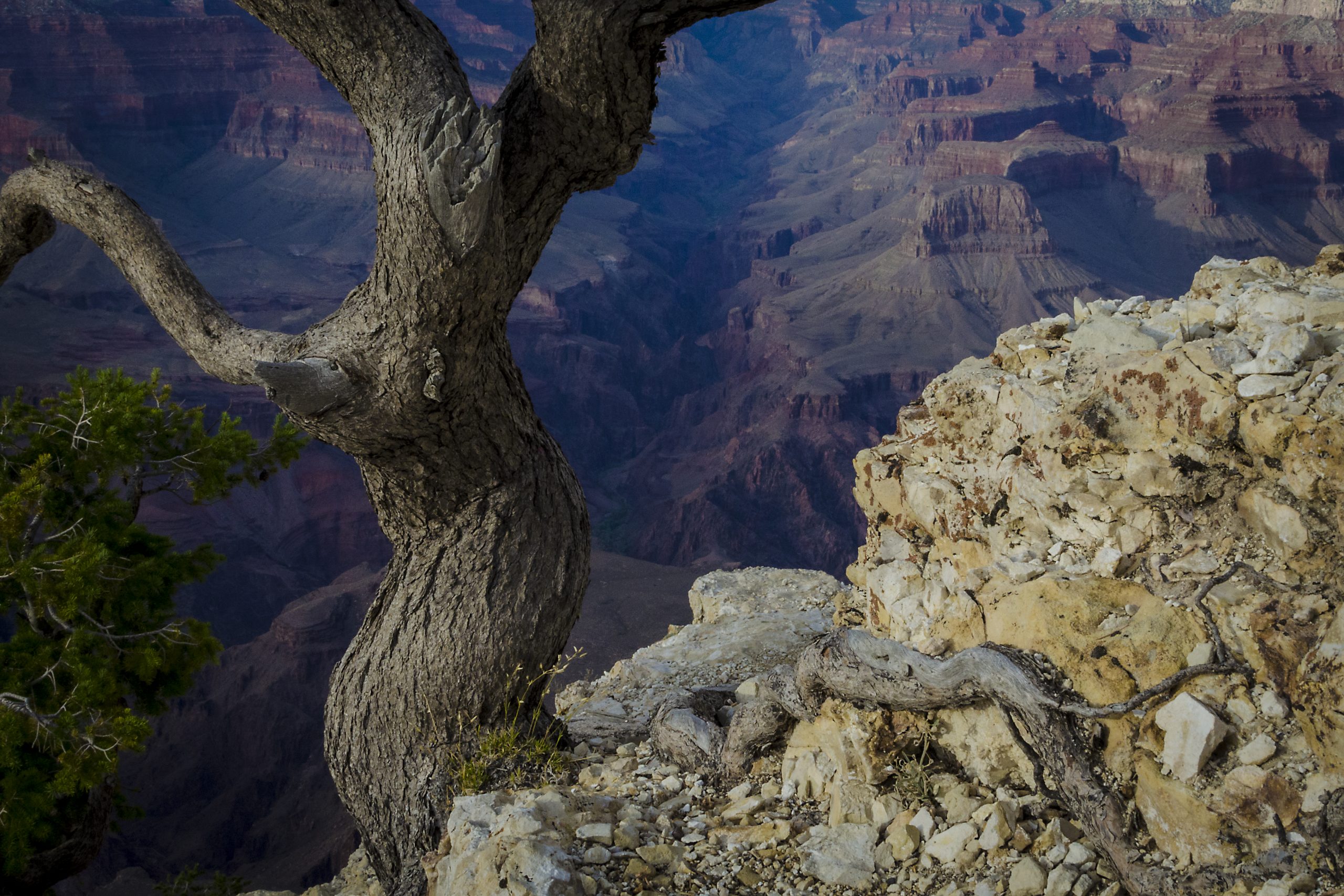 Once días por la Costa Oeste de USA Once días por la Costa Oeste de Estados Unidos
