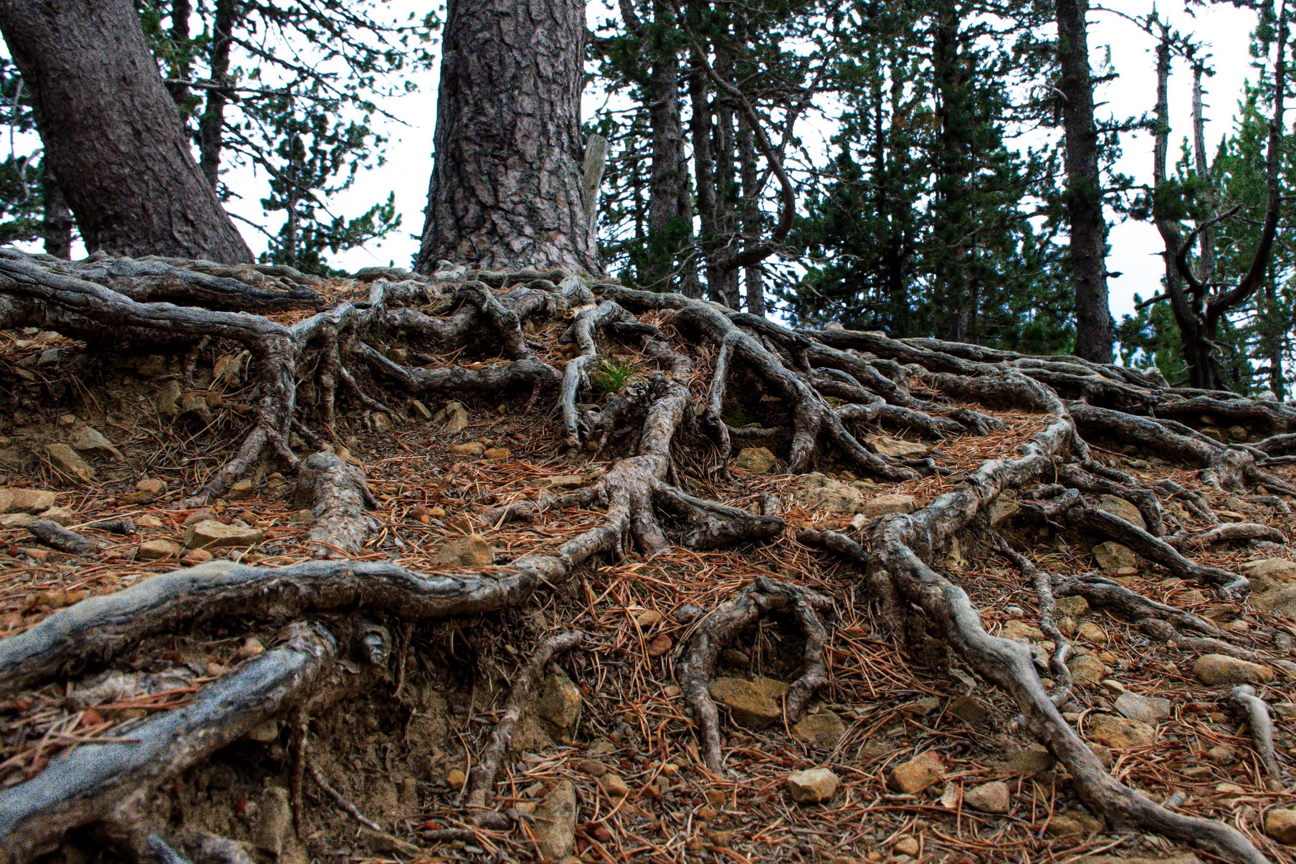 Las mejores vistas del Valle de Ordesa