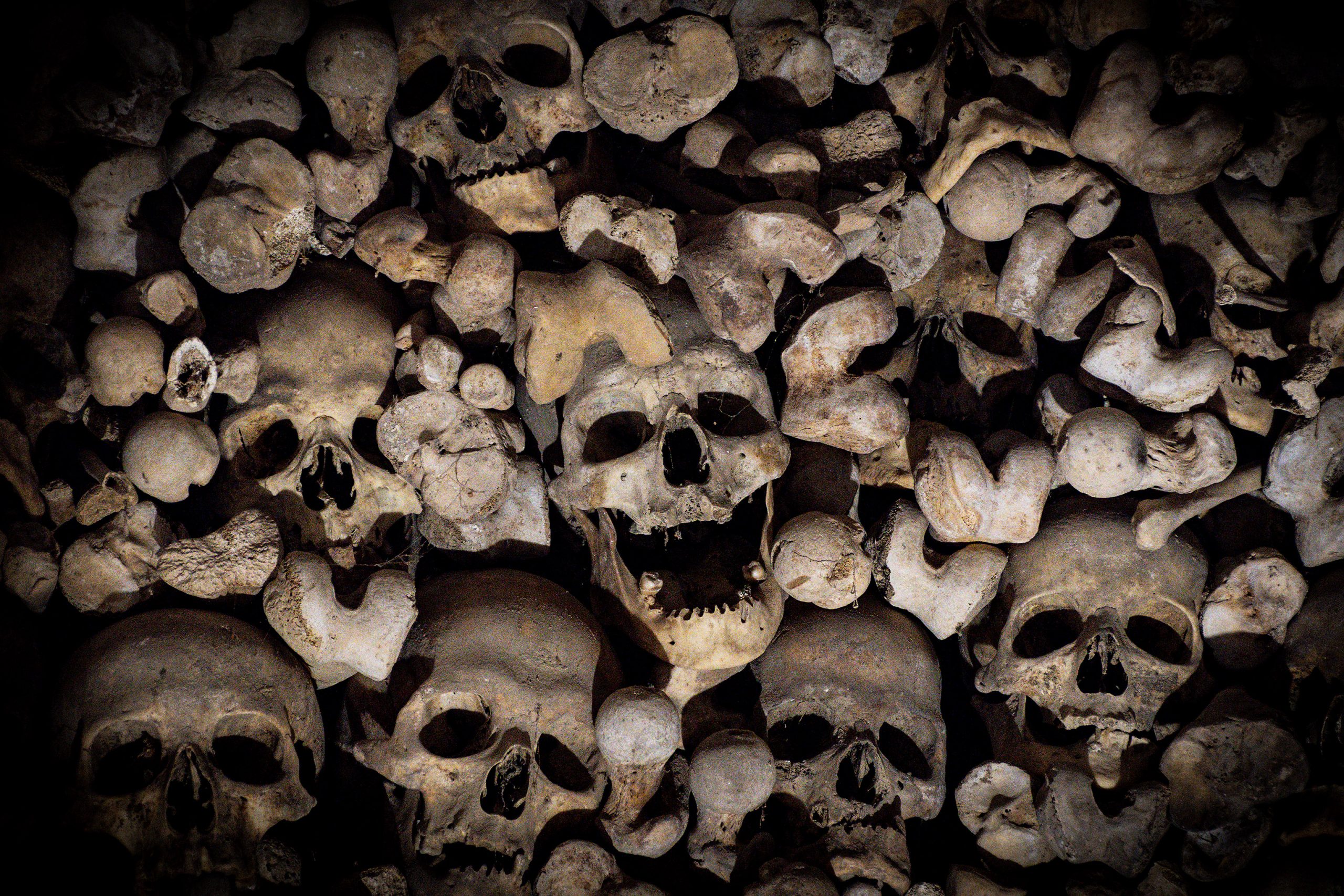 El mayor osario de España (Wamba, Valladolid) El mayor osario de España (Wamba, Valladolid)