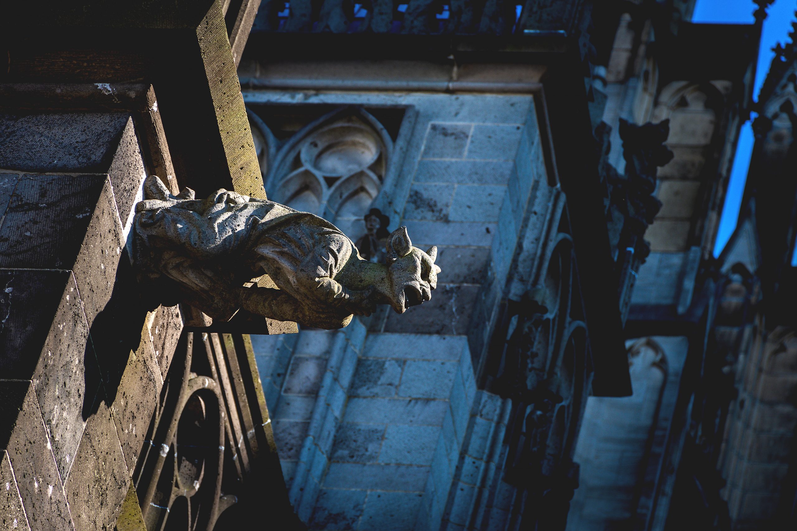 Tres días en Colonia