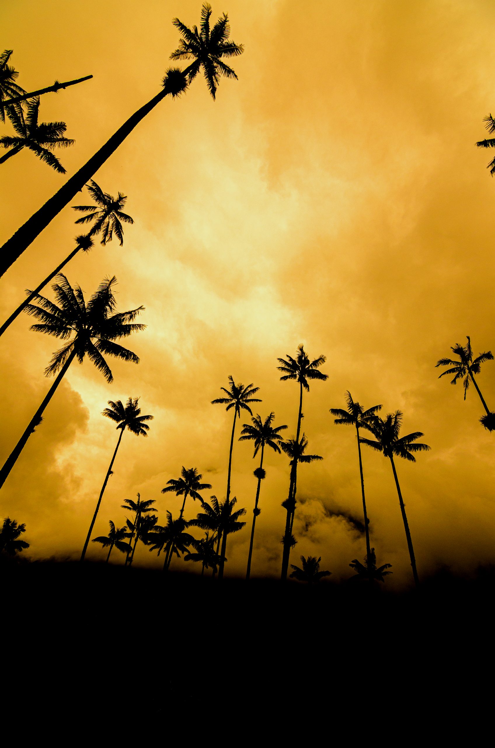 Dos noches en Salento y el Eje Cafetero